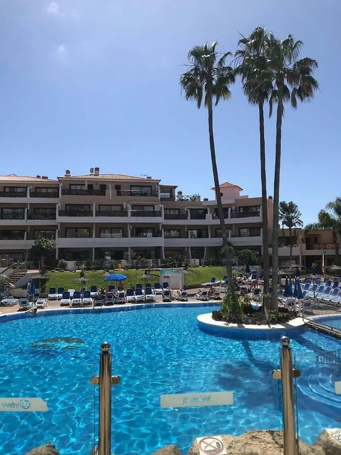 Apartment South Tenerife contacts